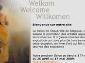 Salon l’aquarelle Belgique 11ème biennale actuellement Namur aussi Tintin festival