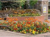 Parc Cesson-Sévigné Ille Vilaine Bretagne (1/3)