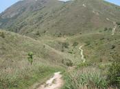 Magnifique Lantau Peak