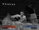 [Test] King Boxing