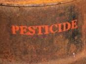 pays s'engagent contre l'utilisation DDT, pesticide cancérigène