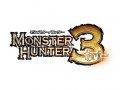 Monster Hunter vidéo tranche tout