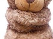 peluches aussi doivent avoir leur billet d'avion