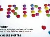 pride nantes bretonne