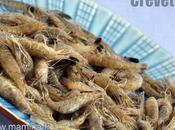 Crevettes vivantes, petit luxe quand part week-end