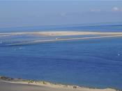 Arguons qu’Arguin deviendra label