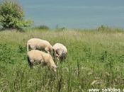 Photographies mardi normandie