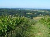 week-end, bascule dans l'été