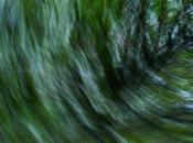 Abstract moving photo: cherry 1033