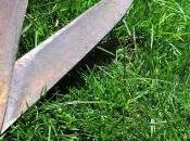 couple discriminé jardine