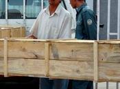 travailleurs humanitaires tués 2008