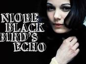Critique “Blackbird’s Echo” (2009) Niobe