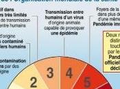 Grippe pandémie déclarée, quelques conseils