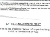 Avocat diable