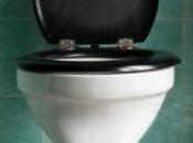 images chiot aspiré dans toilettes