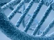 secret longévité humaine dans gène