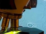 micro-organismes enfouis sous mètres glace réveillent