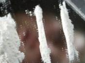 images plus d'une tonne cocaïne dans requins congelés