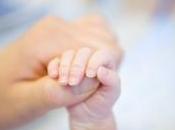 Première française bébé d'une mère stérile après autogreffe tissu ovarien