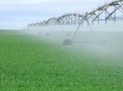Agriculture vers réduction consommation d'eau
