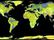 carte élévations plus précise monde