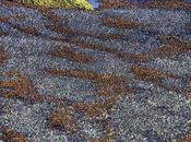 voit c’est vacances Antarctique :...