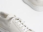 Common projects collection