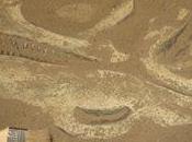 fait-on quand fait chaud Hong Kong?...