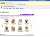 Faire e-commerce Facebook