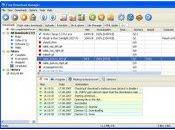Free Download Manager