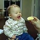 Bébé mange citron