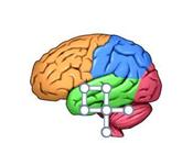 Test Stimlation cérébrale avec Kawashima iPhone