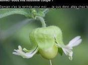 blog photo nature très beau