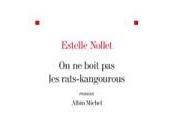 Premier roman: Estelle Nollet cherche sortie