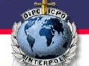 Interpol ligne base données oeuvres d'art volées