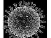 Grippe H1N1: Portugal annonce nouveau