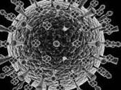 Vidéo Marie-Thérése Porchet Grippe H1N1
