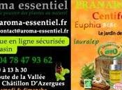 Huile essentielle Ylang totum