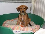 Nouvelle arrivante maison...