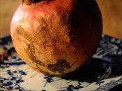 Nature comme modèle