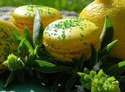 Macaron citron-basilic