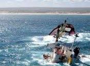 piratage écologique nouvelle menace pour mers