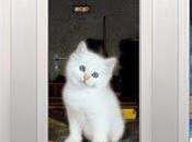 Style-Your-Door.com films décoratifs pour portes intérieures