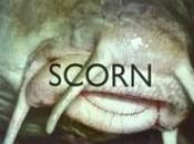 Scorn Margins