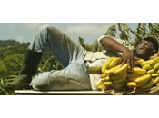 Exclu Banane Guadeloupe Martinique clip vidéo