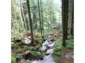 Randonnée cascades Mérelle Chanony (Vosges)