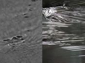 ondes journal photographique