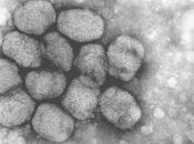Anniversaire disparition variole