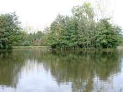 Etangs Betton Bretagne