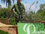 Lucas Madagascar avec Pranarôm plants Ravintsara sont arrivés